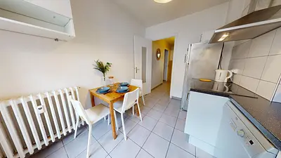 Photo du 15 rue Alexandre Boutin, 69100 Villeurbanne, France Villeurbanne