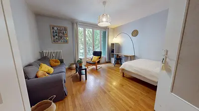 Photo du 15 rue Alexandre Boutin, 69100 Villeurbanne, France Villeurbanne