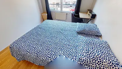 Photo du 17 rue Paul cazeneuve, 69008 Lyon, France Lyon