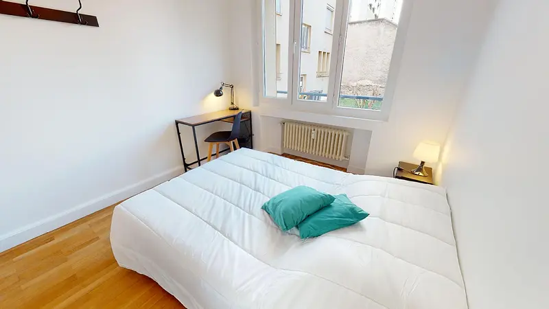 Photo du 31 Rue Barrier, 69006 Lyon, France Lyon