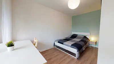 Photo du 47 rue du professeur Patel, 69009 Lyon, France Lyon