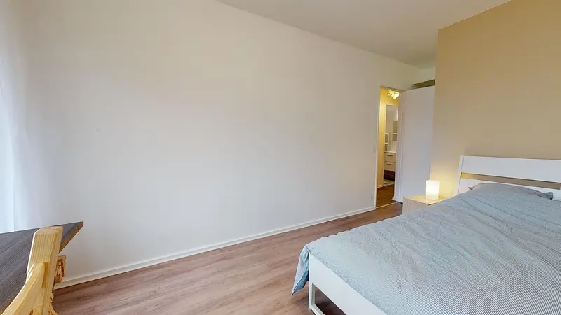 Photo du 47 rue du professeur Patel, 69009 Lyon, France Lyon