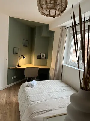 Photo du 60b Avenue Leclerc, 69007 Lyon, France Lyon