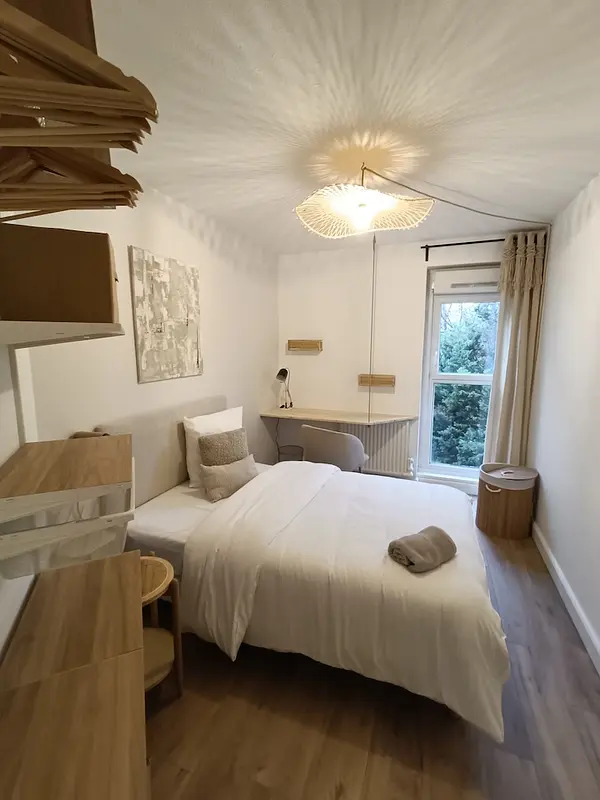 Photo du 60b Avenue Leclerc, 69007 Lyon, France Lyon