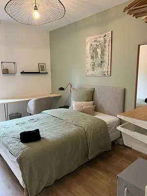 Photo du 60b Avenue Leclerc, 69007 Lyon, France Lyon