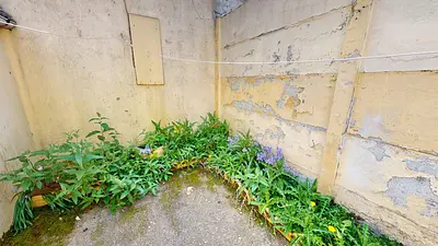 Photo du 177 Rue Du Halot, 59200 Tourcoing, France Tourcoing