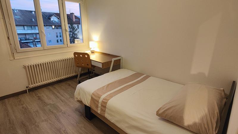 Photo du 11 Rue Du Docteur Aimé Coquand, 74100 Annemasse, France Annemasse