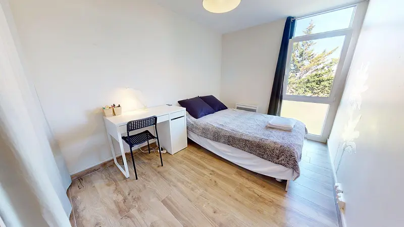 Photo du 210 Avenue Paul Santy, 69008 Lyon, France Lyon