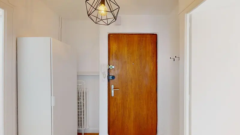 Photo du 29 Rue Du Docteur Aimé Coquand, 74100 Annemasse, France Annemasse