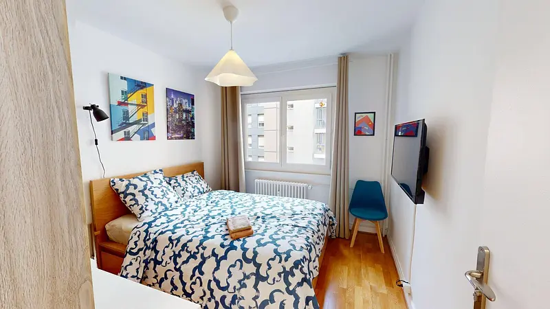 Photo du 29 Rue Du Docteur Aimé Coquand, 74100 Annemasse, France Annemasse