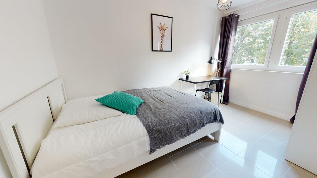 Photo du 18 Rue Camille Koechlin, 69100 Villeurbanne, France Villeurbanne