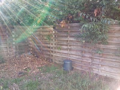 Photo du 38bis Rue Henri Bonis, 31000 Toulouse, France Toulouse