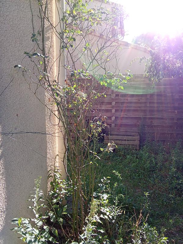 Photo du 38bis Rue Henri Bonis, 31000 Toulouse, France Toulouse