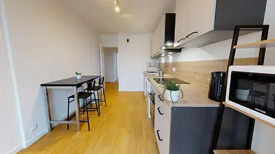 Photo du 249 avenue jean jaures, 69007 Lyon, France Lyon