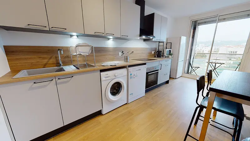 Photo du 249 avenue jean jaures, 69007 Lyon, France Lyon