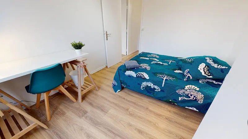 Photo du 65 rue de Saint Cyr, allée 5, 69009 Lyon, France Lyon