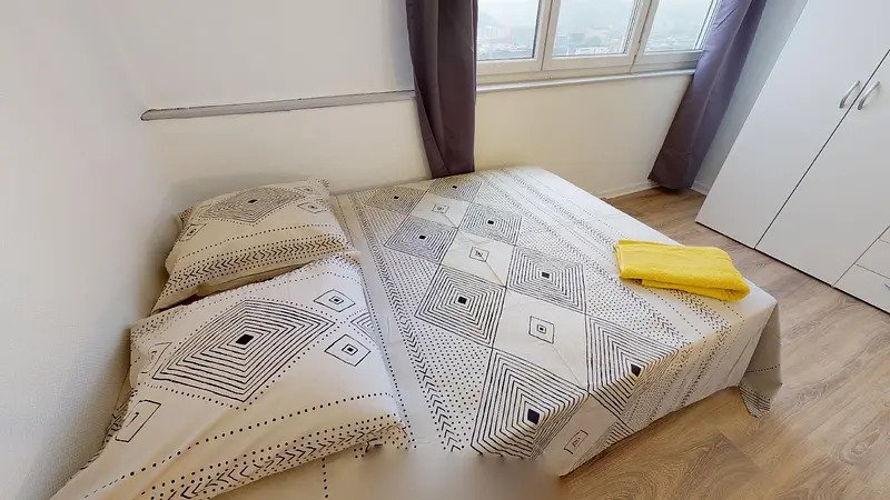 Photo du 65 rue de Saint Cyr, allée 5, 69009 Lyon, France Lyon