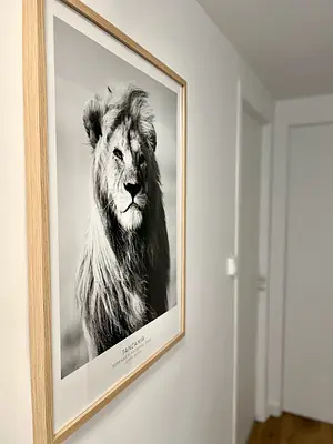 Photo du 11 Boulevard de Larramet, 31300 Toulouse, France Toulouse