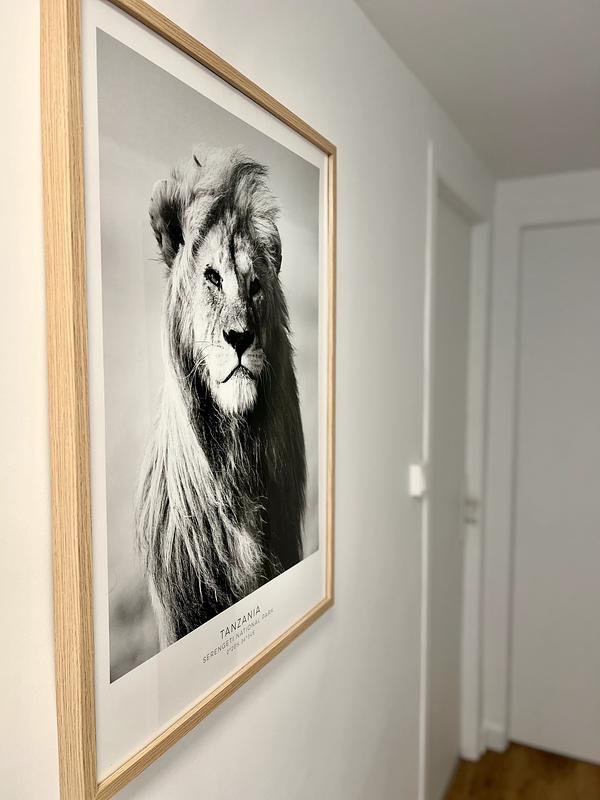 Photo du 11 Boulevard de Larramet, 31300 Toulouse, France Toulouse