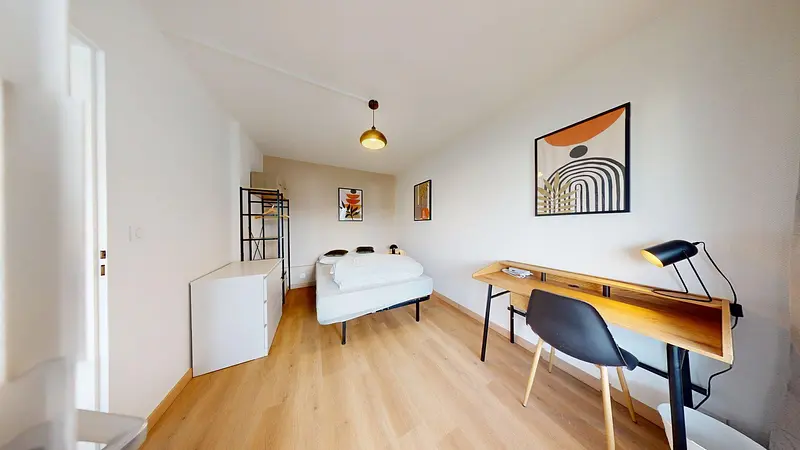 Photo du 29 Rue Professeur Patel, 69009 Lyon, France Lyon