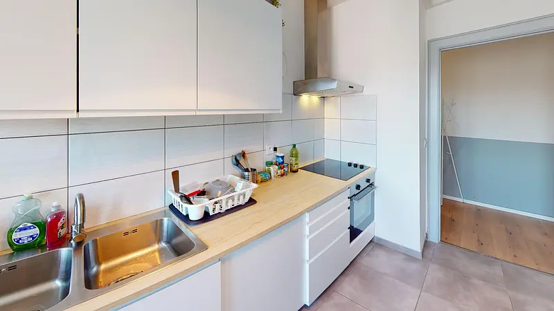 Photo du 37 Avenue Aristide Briand, 68200 Mulhouse, France Mulhouse