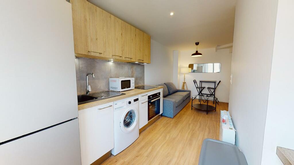 Photo du 83 Rue Alexandre Boutin, Duplex/ Terrasse, 69100 Villeurbanne, France Villeurbanne