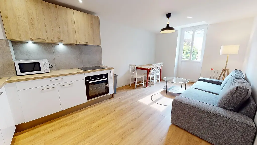 Photo du 83 Rue Alexandre Boutin, Duplex/ Terrasse, 69100 Villeurbanne, France Villeurbanne