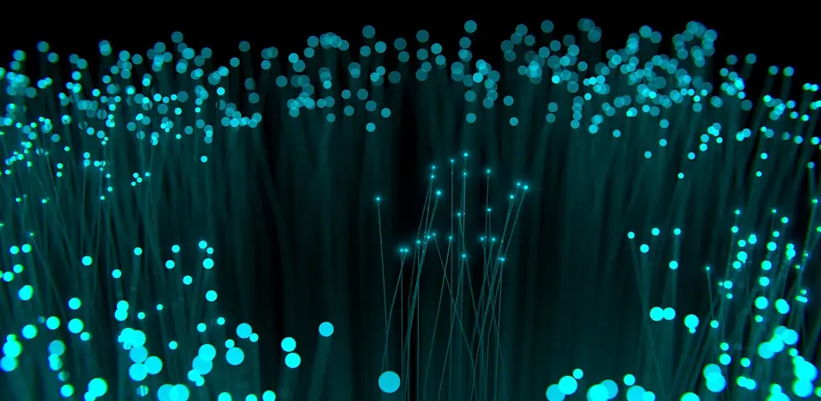 fibre optique