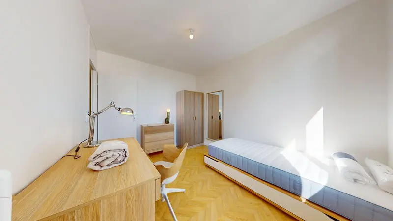 Photo du 77 Rue Philippe Fabia, 69008 Lyon, France Lyon