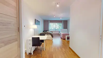 Photo du 32 Avenue Félix Faure, 69007 Lyon, France Lyon