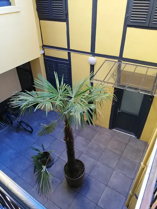 Photo du 7 Rue Émile Guichenné, 64000 Pau, France Pau