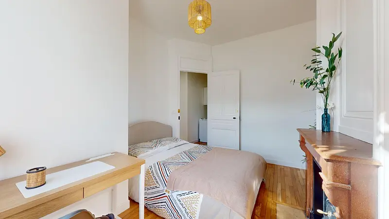 Photo du 163 Rue Marcel Mérieux, 69007 Lyon, France Lyon