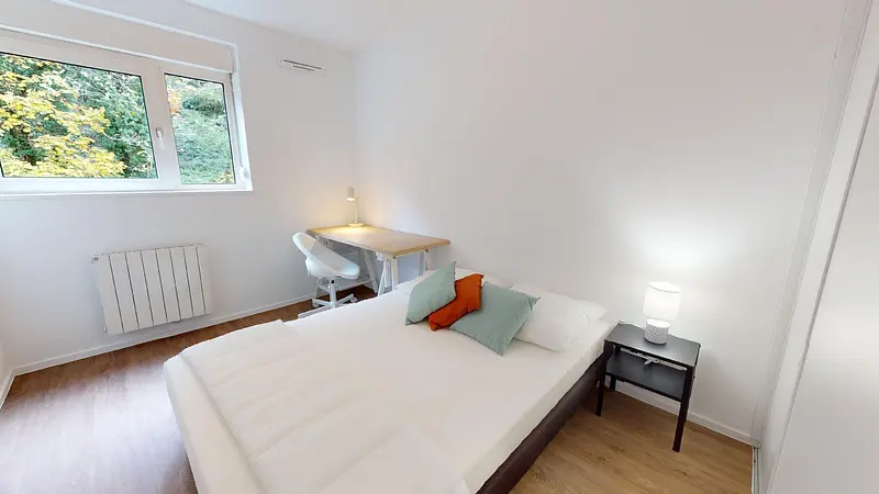 Photo du 99 Avenue Du 25e Régiment De Tirailleurs Sénégalais, 69009 Lyon, France Lyon