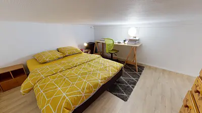 Photo du 52 bis Rue Salomon Reinach, RDC cour, 69007 Lyon, France Lyon