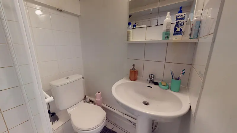 Photo du 52 bis Rue Salomon Reinach, RDC cour, 69007 Lyon, France Lyon