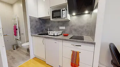 Photo du 10 avenue Rhin et Danube, Studio Gauche, 38100 Grenoble, France Grenoble