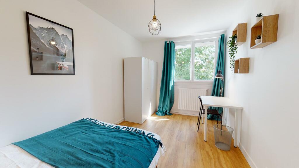 Photo du 50 Rue Du 1er Mars 1943, 69100 Villeurbanne, France Villeurbanne