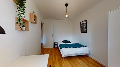 Photo du 50 Rue Du 1er Mars 1943, 69100 Villeurbanne, France Villeurbanne