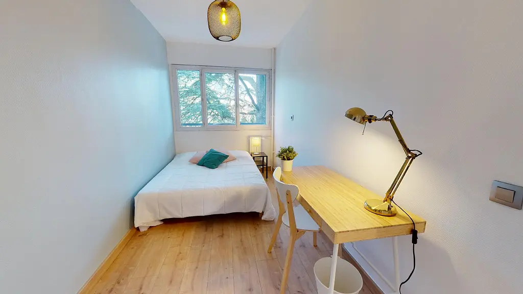 Photo du 31 rue du Professeur Patel, 69009 Lyon, France Lyon