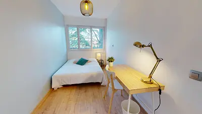 Photo du 31 rue du Professeur Patel, 69009 Lyon, France Lyon