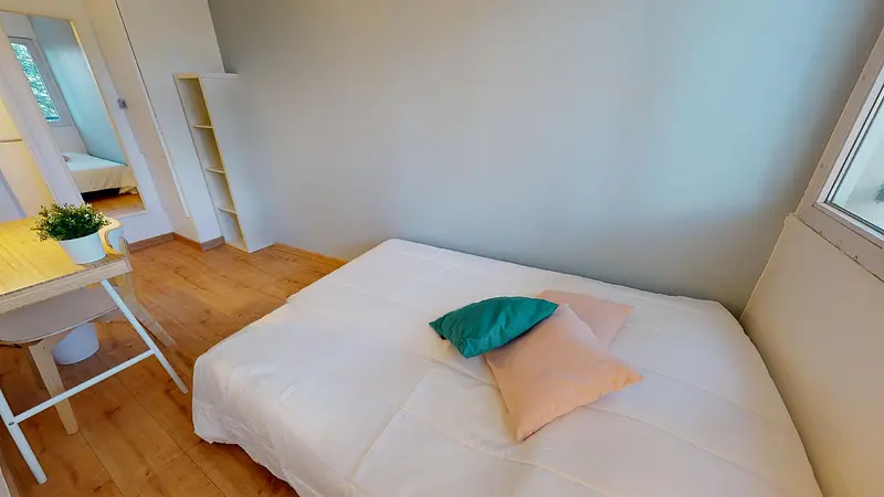 Photo du 31 rue du Professeur Patel, 69009 Lyon, France Lyon