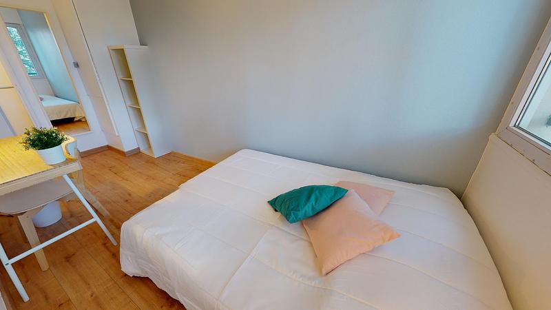 Photo du 31 rue du Professeur Patel, 69009 Lyon, France Lyon