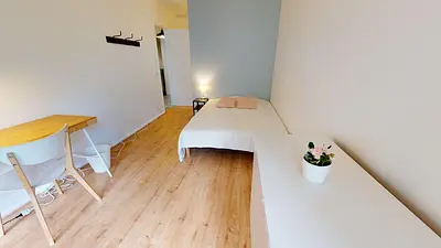 Photo du 31 rue du Professeur Patel, 69009 Lyon, France Lyon