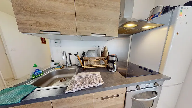 Photo du 17 Avenue Paul Santy, 69008 Lyon, France Lyon