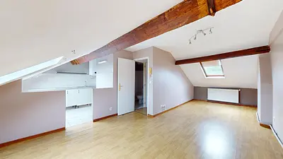 Photo du 65 Rue Léon Gambetta, 59155 Faches-Thumesnil, France Faches-Thumesnil