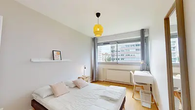 Photo du 33 Rue Hippolyte Kahn, 69100 Villeurbanne, France Villeurbanne