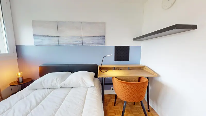 Photo du 43 Rue Docteur Albéric Pont, 69005 Lyon, France Lyon