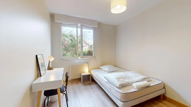 Photo du 93 Boulevard Yves Farge, 69007 Lyon, France Lyon