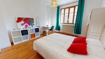 Photo du 29 rue saint Mathieu, 69008 Lyon, France Lyon