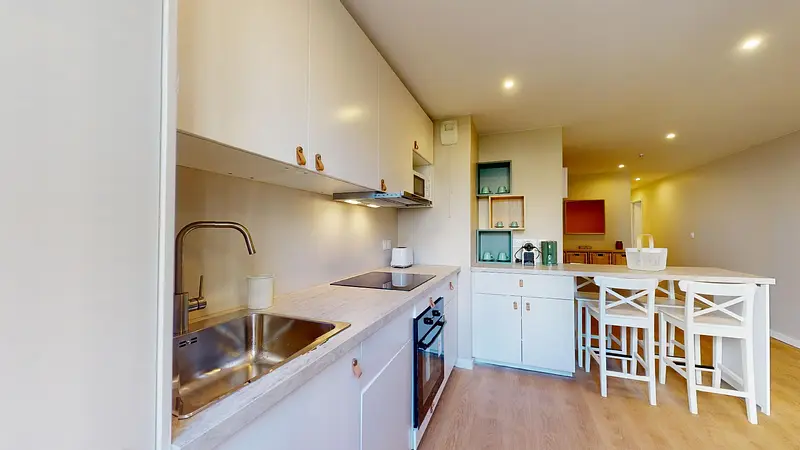 Photo du 36 Rue de la Baïsse, 69100 Villeurbanne, France Villeurbanne